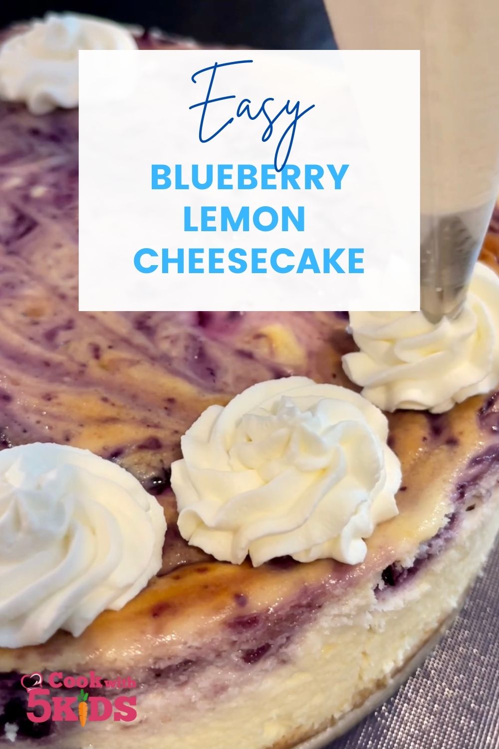 blueberry lemon cheescake