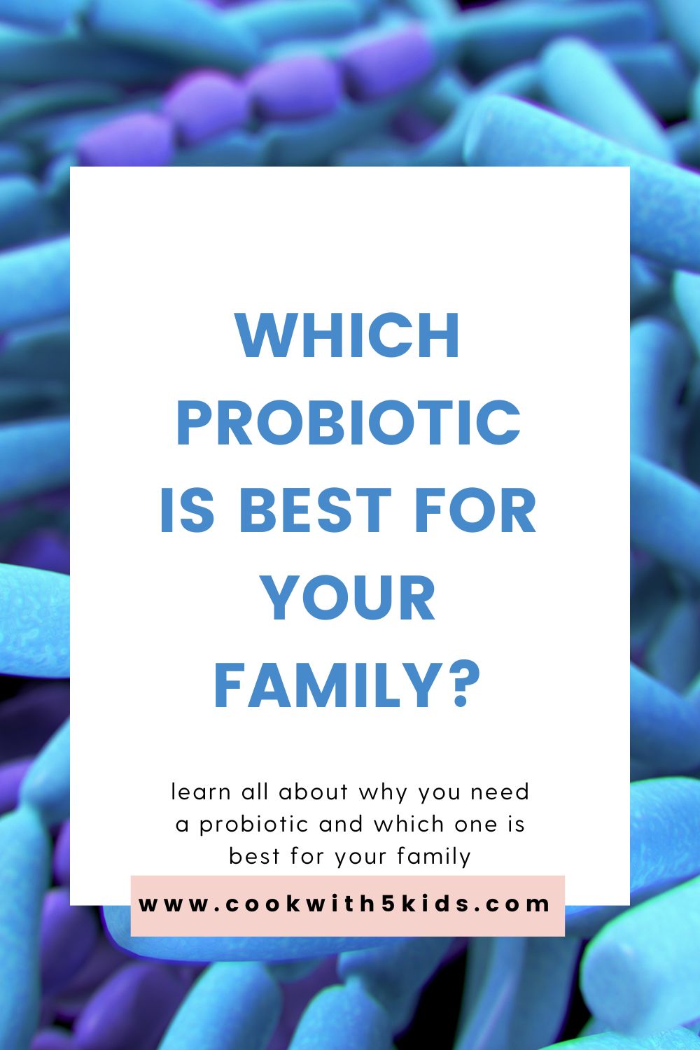 which probiotic is best graphic