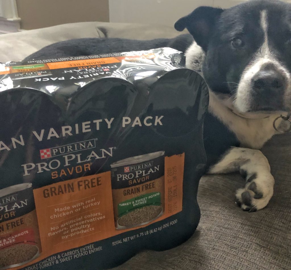 purina pro plan savor variety grain free chicken and turkey dog food at chewy.com